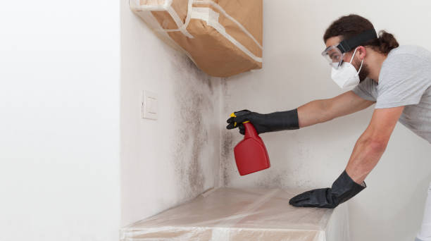 Professional Attic Mold Removal technician working in Baldwin, NY